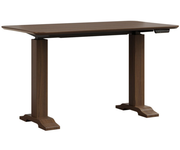 Dawsyn Adjustable Desk