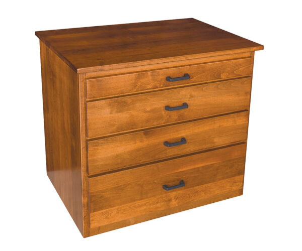 Module Storage Cabinet