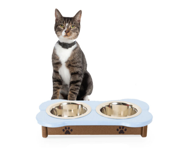 Cat Feeder