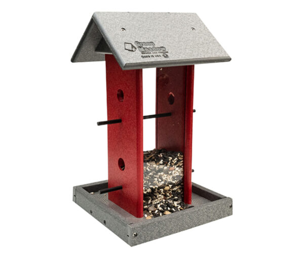 Song Bird Feeder