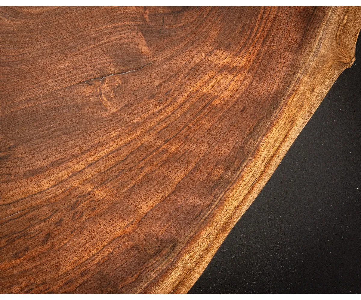 Round Black Walnut Slab - Image 4